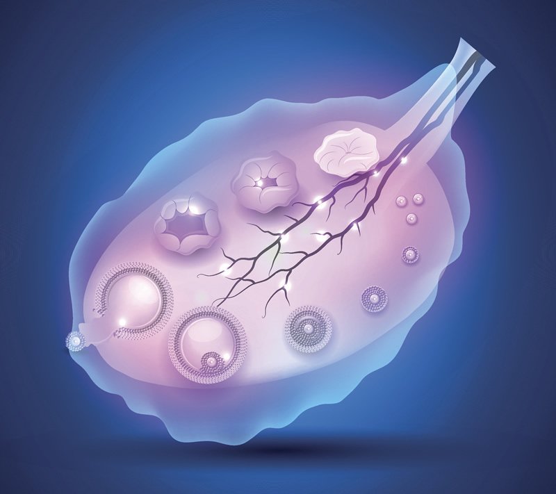 更新报道-青岛专业试管助孕公司详细排名,个性化方案与贴心服务!